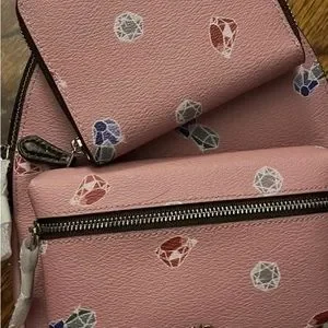 NWT! Coach Disney HTF Snow White 5 set- LARGE price drop-no offers please RARE NWT Coach 1941 Disney X Coach Rogue Bag-Snow White  main image 2